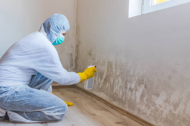 Bathroom Mold Removal assessment in Addison bathroom